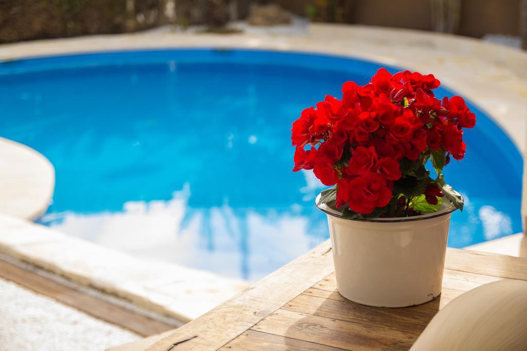 Azul Rentals Villa Albir El Albir Exteriér fotografie